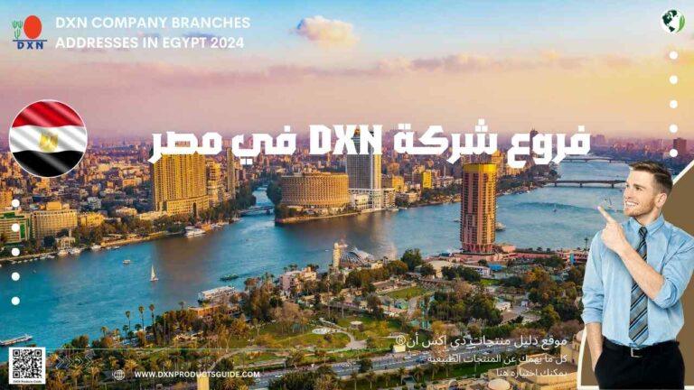 فروع DXN في مصر 2025