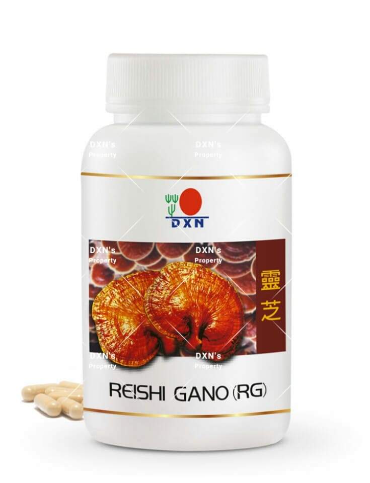 أنواع فطر الريشي DXN: فوائده وأضراره للنساء والرجال وسعره وطريقة استخدامه 4 ريشي جانو (RG) DXN كبسولات