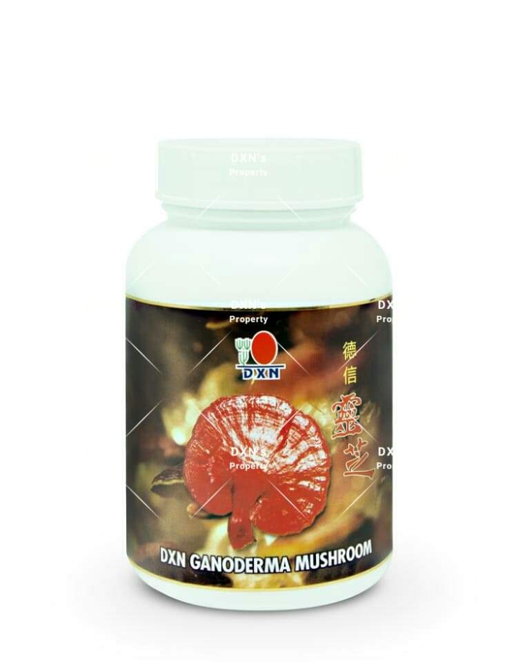 أنواع فطر الريشي DXN: فوائده وأضراره للنساء والرجال وسعره وطريقة استخدامه 7 فطر الجانوديرما الطبيعي DXN